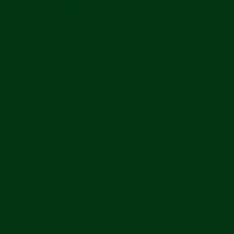 Color 6005-виридоновая