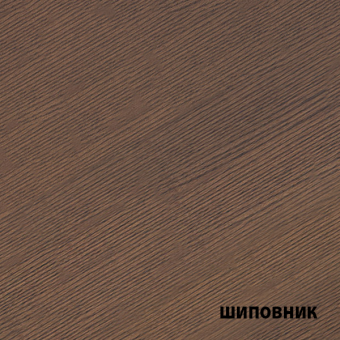 Color шиповник Color шиповник