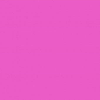 Color fuchsia pink 