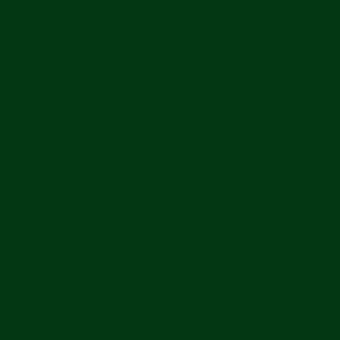 Color 6005-виридоновая