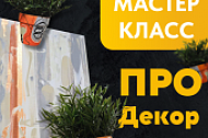 Мастер-класс ПРО Декор