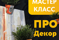 Мастер-класс ПРО Декор