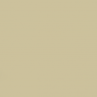 Color 307_бежевый 