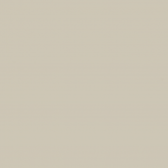 Color 315_молочный