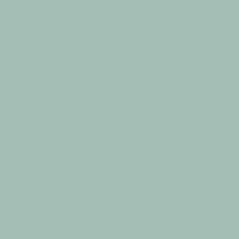 Color Утиное яйцо