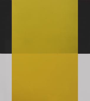 Color 05_желтая 