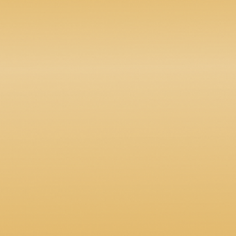 Color 321_бронза