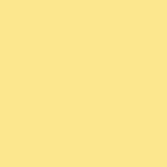 Color 1005,-картошечка