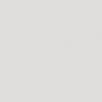 Color Серый зимний