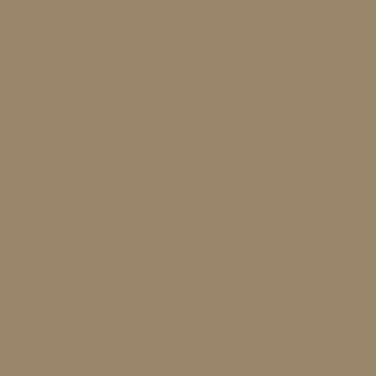 Color 308_кофейный