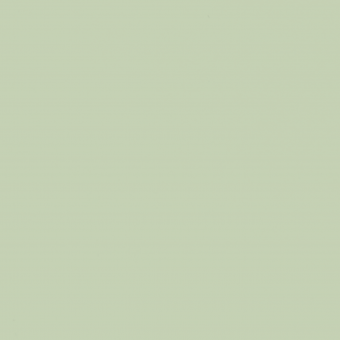 Color 317_яблочный