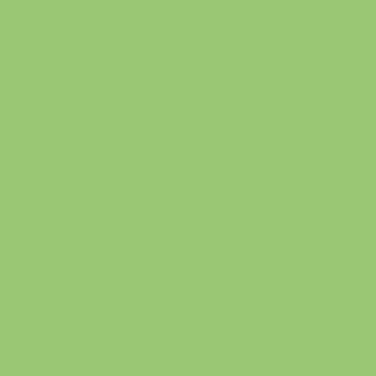 Color 6210,-салат