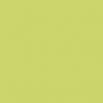 Color 6013,-весна