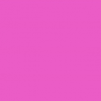 Color fuchsia pink 
