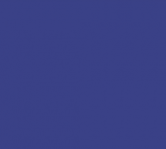 Color 081