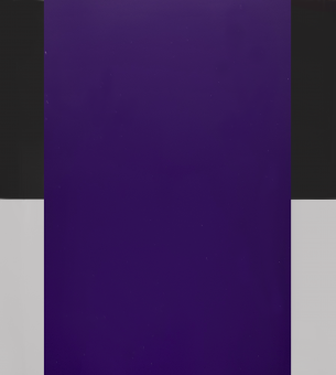 Color 06_лиловая